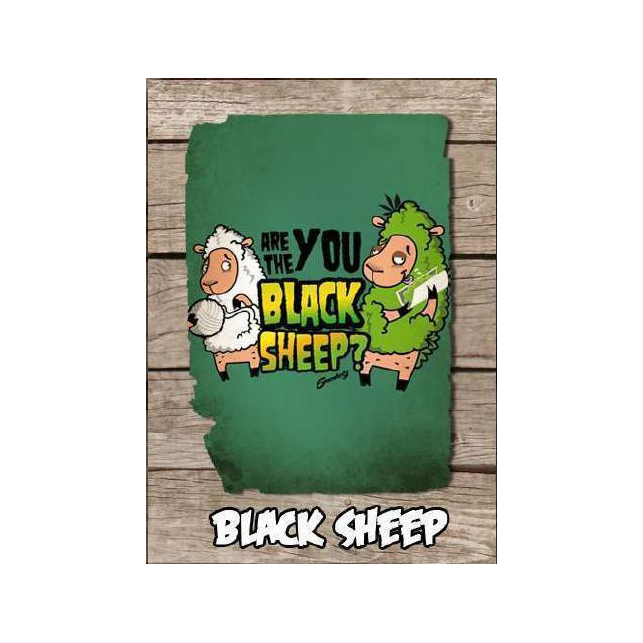 Black Sheep Black Sheep