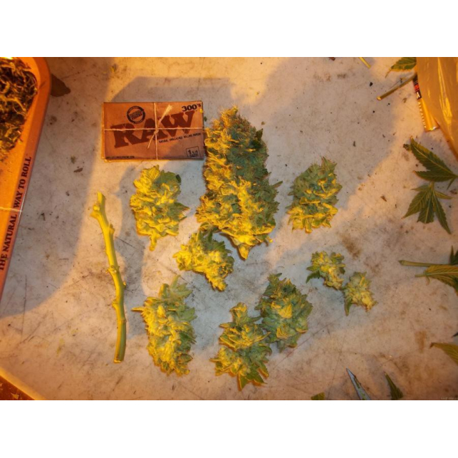 Acid 1
