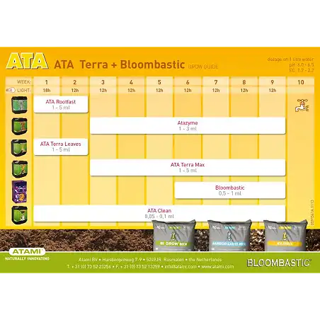 Ata