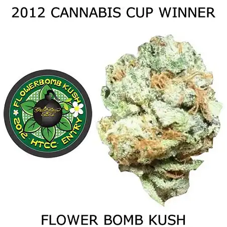 Flowerbomb Kush 1 - Strain Hunters