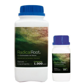 Radical Root (Growing)