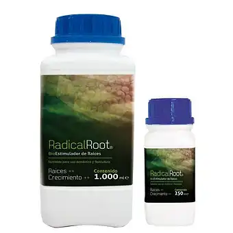 Radical Root