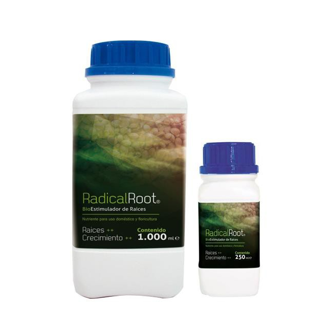 Radical Root (Croissance)
