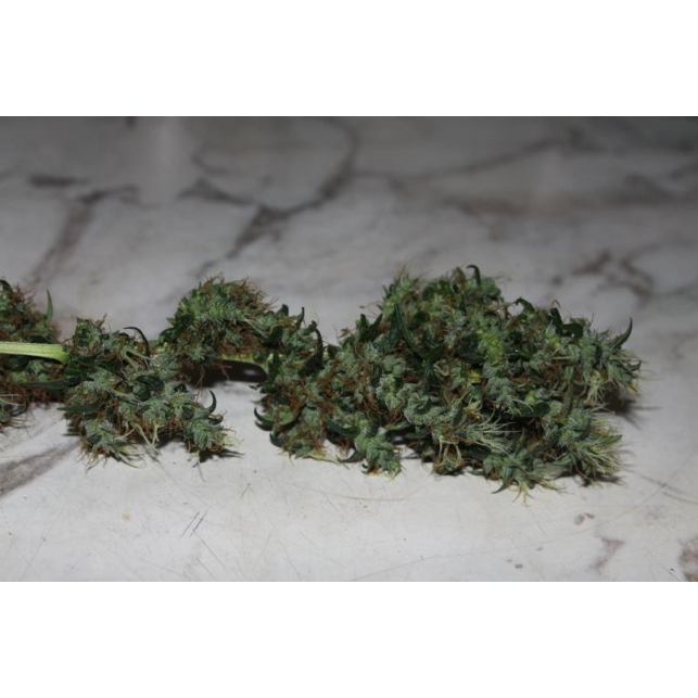 CBD Mango Haze 2