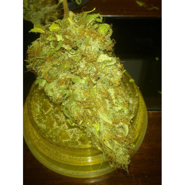CBD Nordle 2
