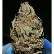 Critical Mass Mr Nice 1