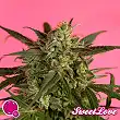 SweetLove - Philosopher Seeds