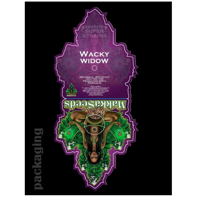 Wacky Widow 1