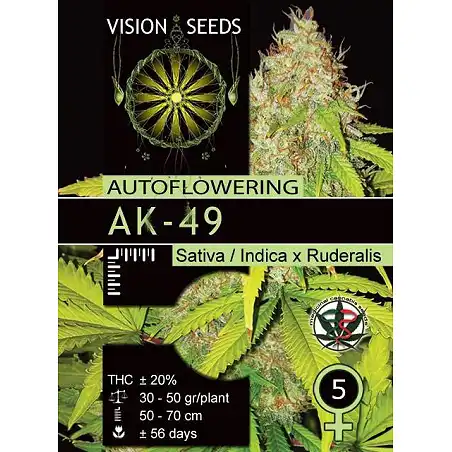AK 49 Auto - Vision Seeds