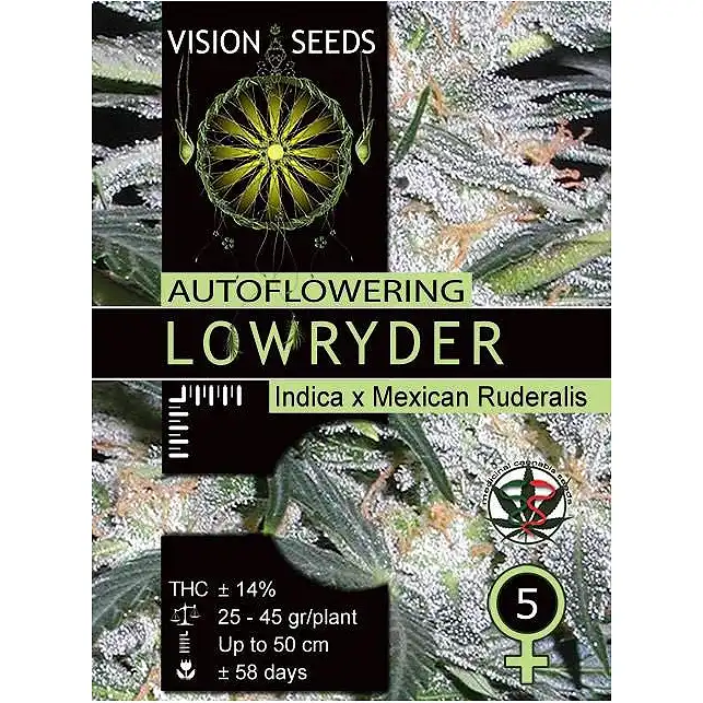 Lowryder Auto - Vision Seeds