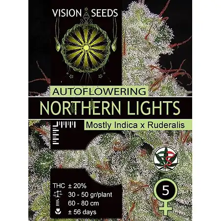 Northern Lights Auto Vision Seeds