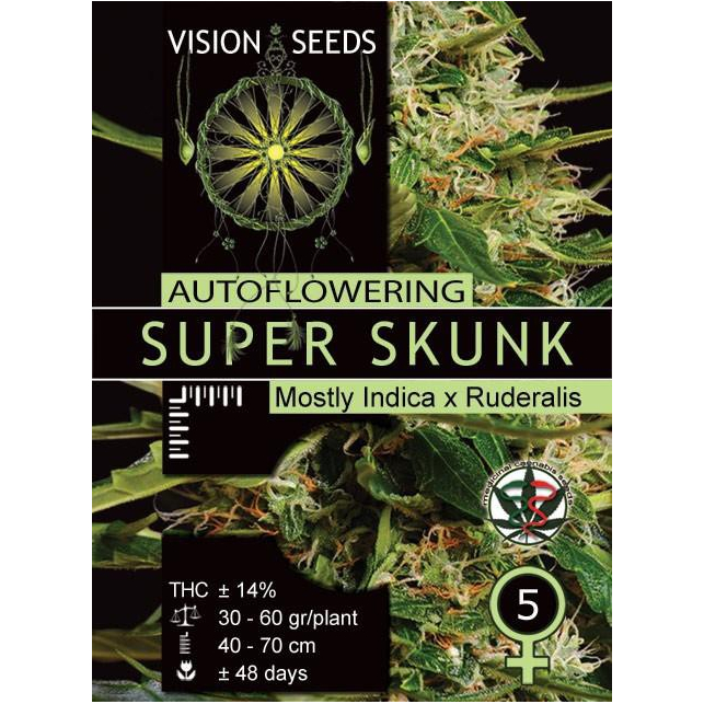 Super Skunk Auto Vision Seeds 1