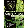 White Widow Auto Vision Seeds