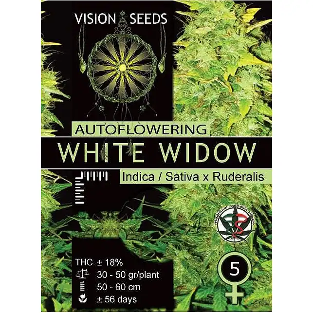 White Widow Auto Vision Seeds
