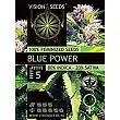 Blue Power - Vision Seeds Blue Power - Vision Seeds
