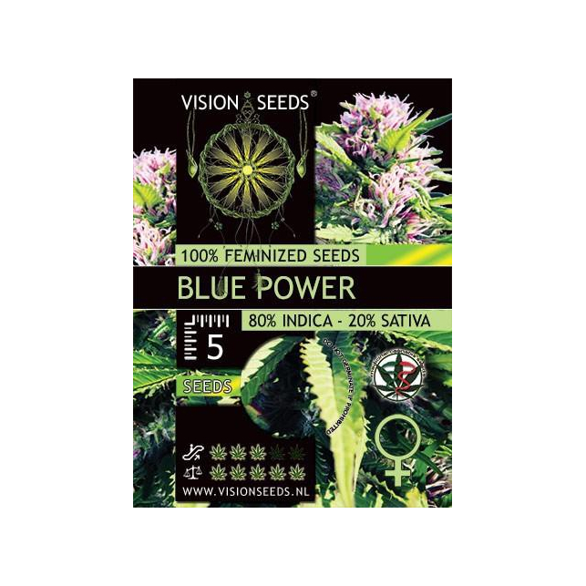 Blue Power 1 - Vision Seeds