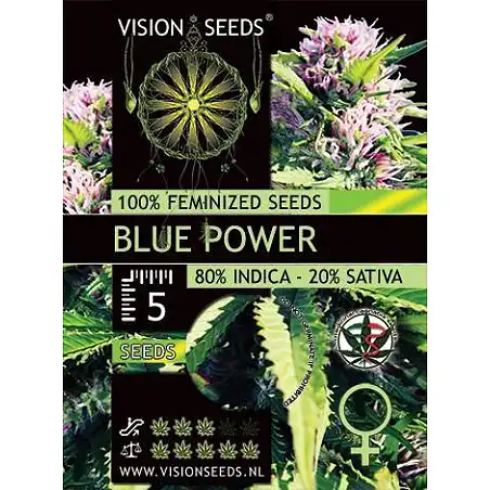 Blue Power - Vision Seeds
