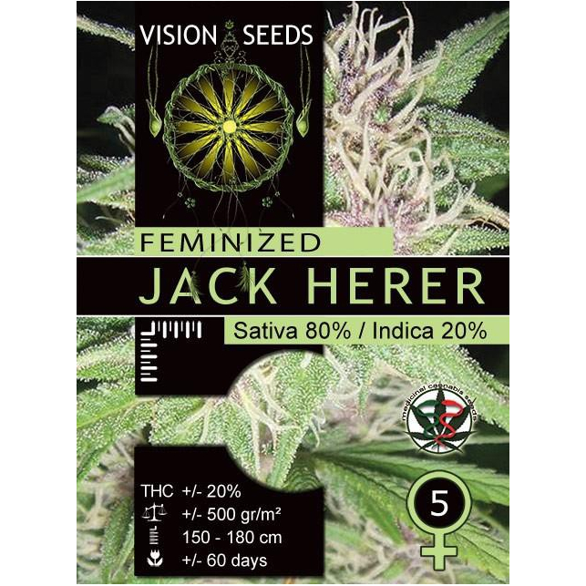 Jack Herer Vision Seeds 1