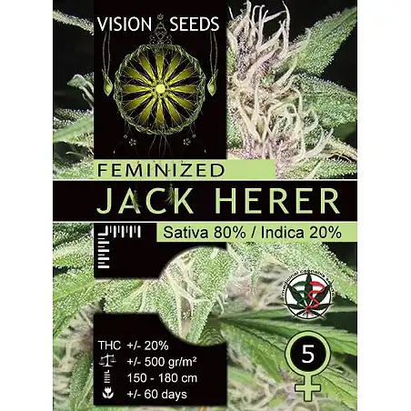 Jack Herer Vision Seeds