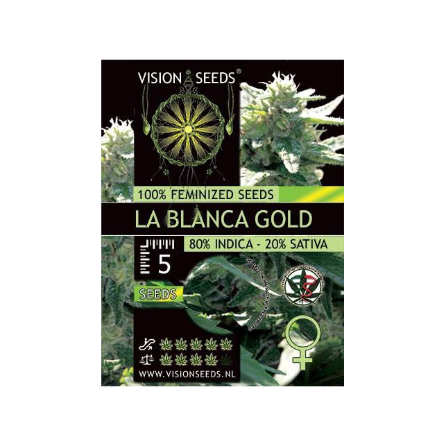 La Blanca Gold 1 - Vision Seeds