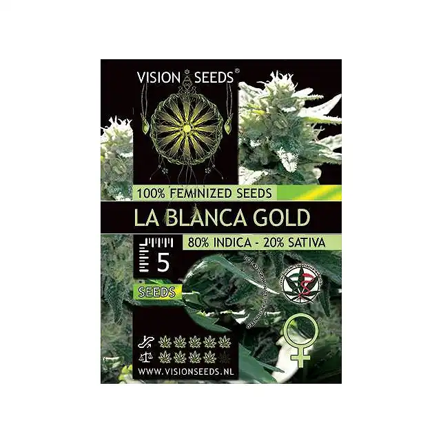 La Blanca Gold - Vision Seeds