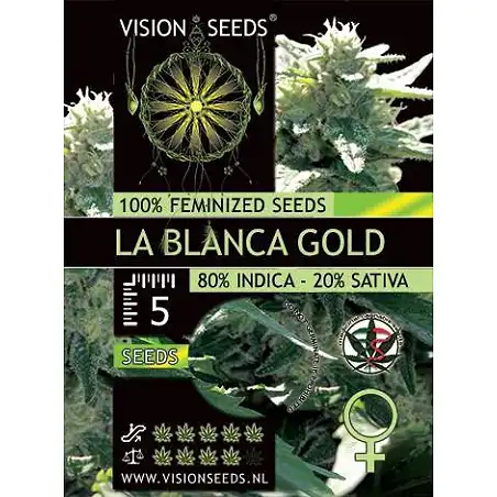 La Blanca Gold - Vision Seeds
