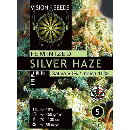 Silver Haze Vision Seeds