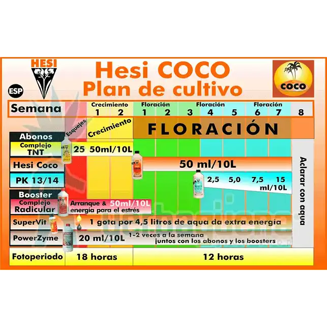 Complejo TNT