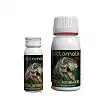 Bactomatik Rex
