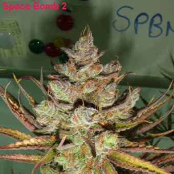 Space Bomb