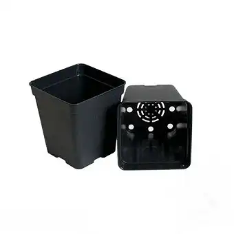 Black square plastic pots