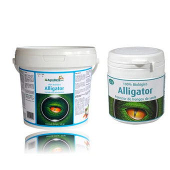 Alligator