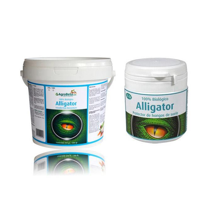 Alligator Alligator