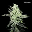 Pineapple Express FastBuds Pineapple Express FastBuds