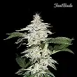 Crystal Meth - FastBuds