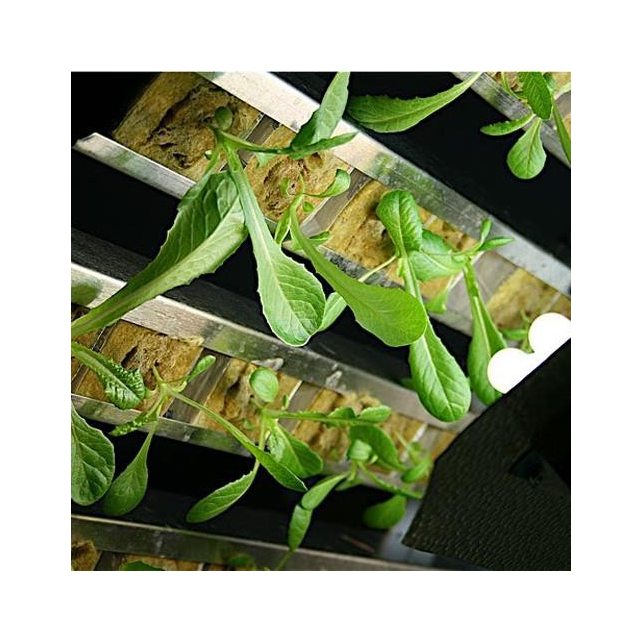 Gi Grow 240 Noria Cultivo Marihuana