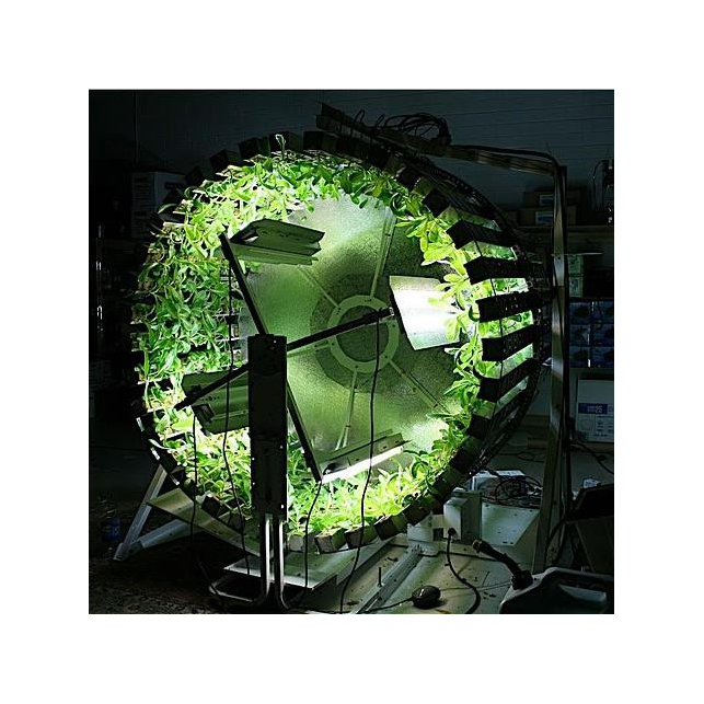 Gi Grow 240 Noria Cultivo Marihuana