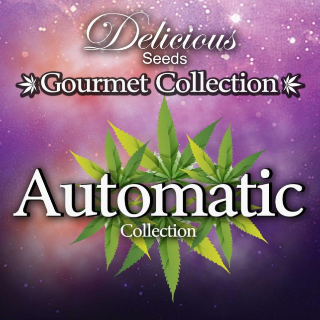 Automatic Collection 1 Delicious Seeds