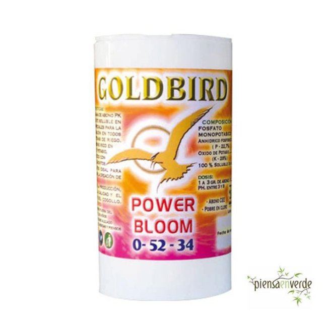 Bloom Goldbird Bloom Goldbird