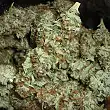 Auto AK 48 - Nirvana