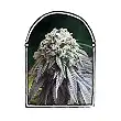The Dark Side - The Kush Brothers