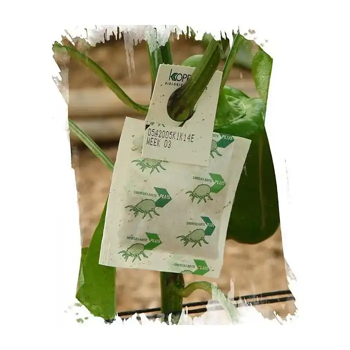 Swirskimite (Trips, mosca blanca, araña roja)