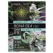 Bona Dea CBD + - Vision Seeds Bona Dea CBD + - Vision Seeds