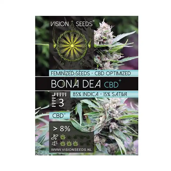 Bona Dea CBD + - Vision Seeds