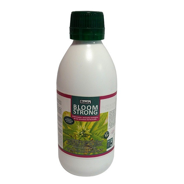 Bloom Strong Los Ridella Bloom Strong Los Ridella