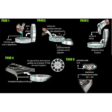 Germinating pro seeds