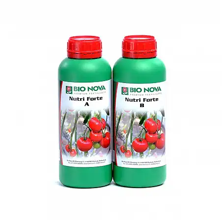 Nutri Forte A y B