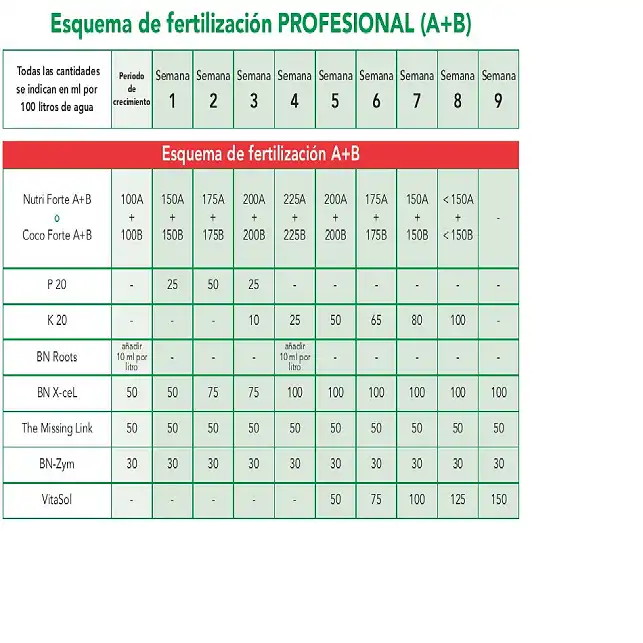 Nutri Forte A y B