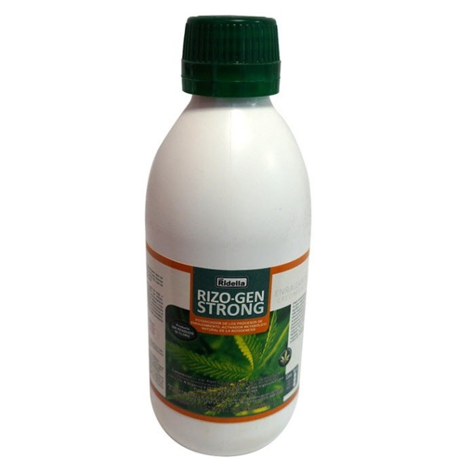 Rizo Gen Strong Los Ridella Rizo Gen Strong Los Ridella