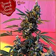 Deedee - French Touch Seeds Deedee - French Touch Seeds